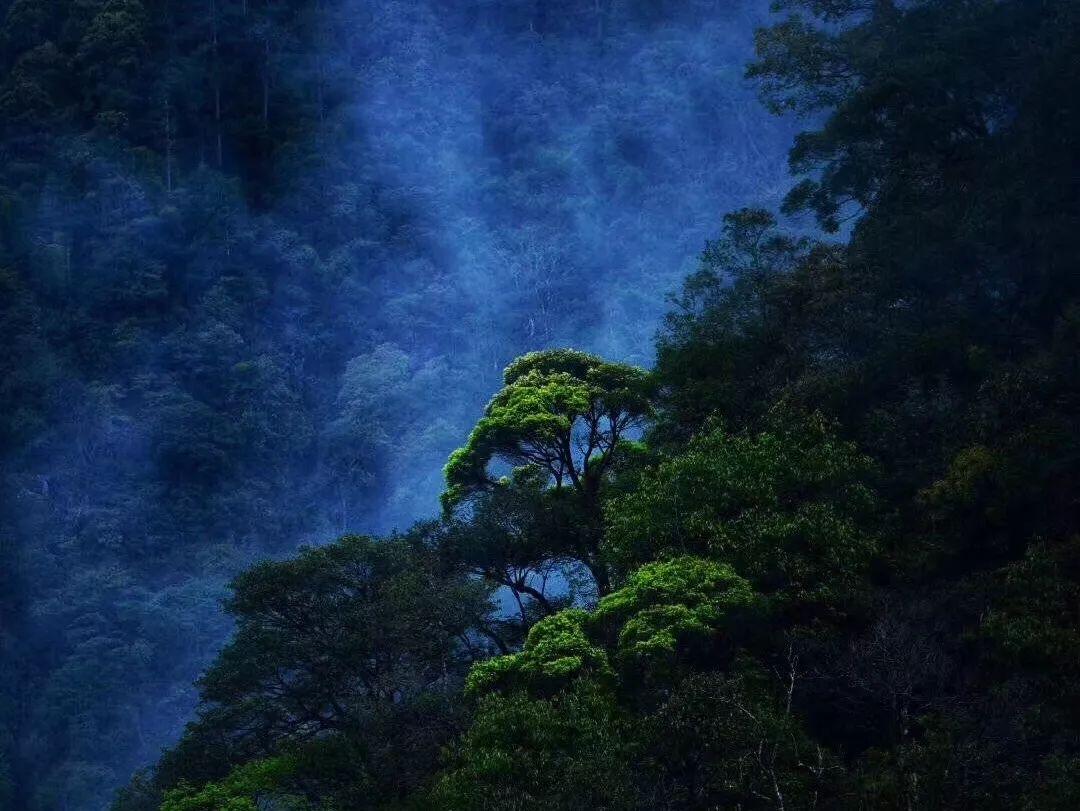 关注多喝水可以减肥吗?求大神帮助,一起创造知识星球的美好未来