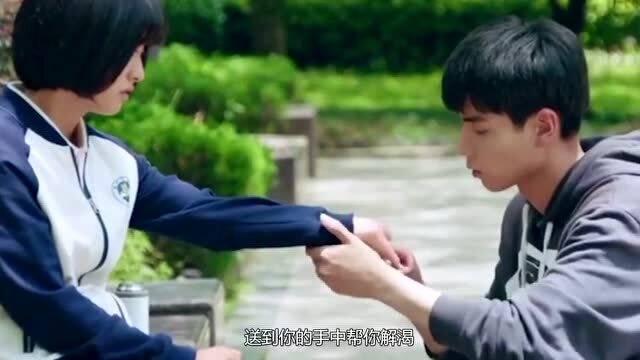 探寻真相,天涯问答交流平台什么型号的华为手机没有应用隐藏,什么型号的华为手机没有隐藏应用?