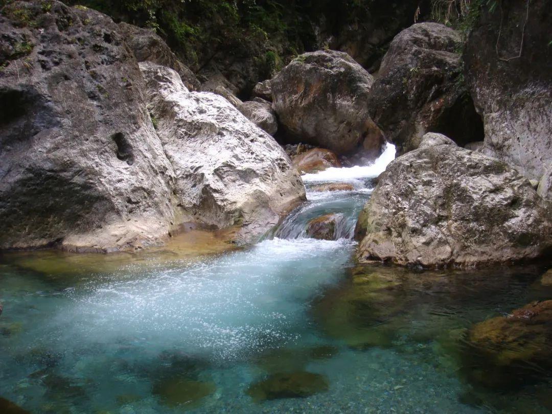虫虫助手下载