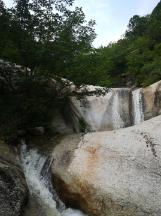 虫虫助手下载